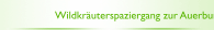 Wildkr&auml;uterspaziergang zur Auerburg
